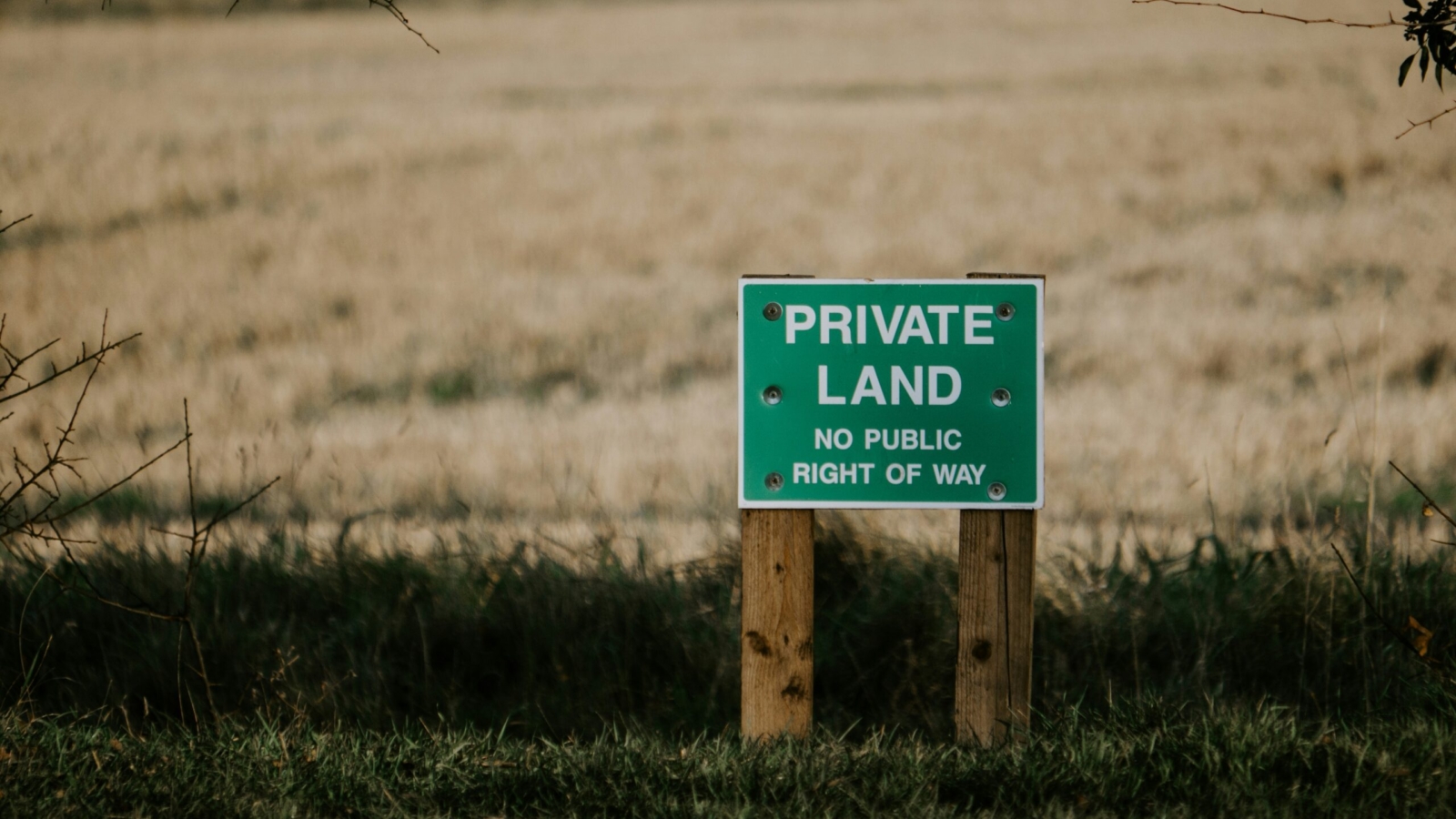 matt-seymour-mWtYBG3HdXU-unsplash